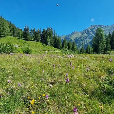 Planai View 12 Шладмінг