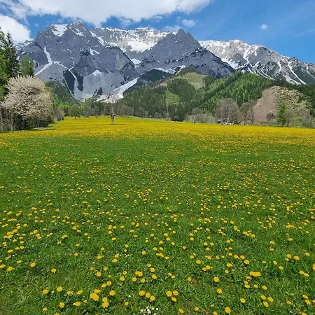 Planai View 12 Apartment Schladming