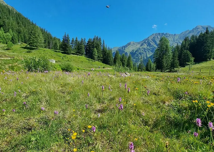 Planai View 12 Schladming